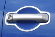 Stainless Steel Handle Surrounds
