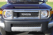 Stainless Steel Custom Brush Guard